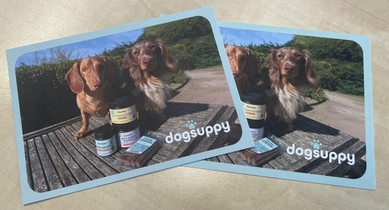 Kaartvoorbeelden van DogSuppy naast supplementen.